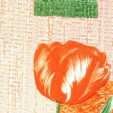 Пленка самоклеящаяся 0,45*8м 8180 тюльпаны
